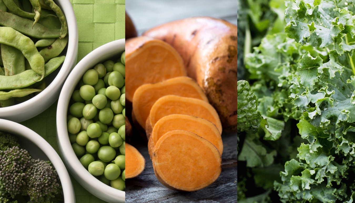 Five Dehydrated Vegetables that Pack a Protein… Silva International