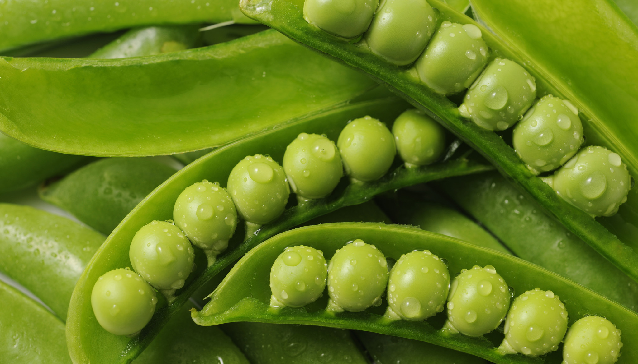 Green Peas